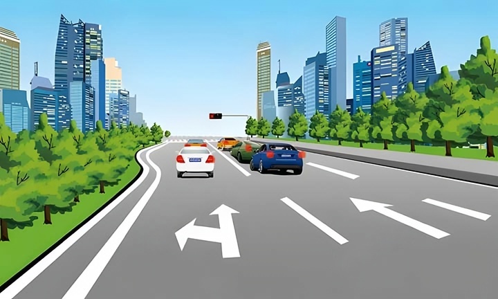如图所示，该道路最左侧车道准许车辆直行或左转。配图